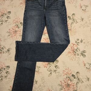 Ann Taylor Dark Blue Skinny Jeans